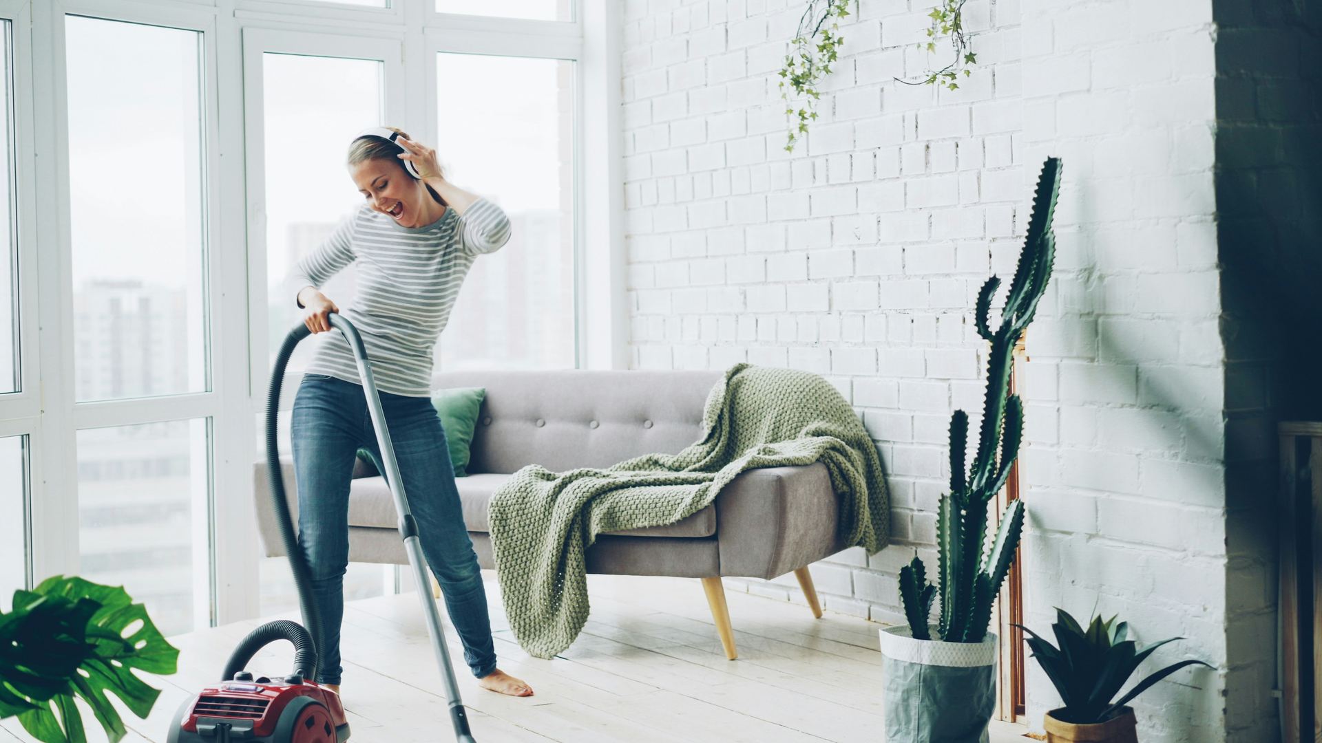 Home cleaning equipment and supplies